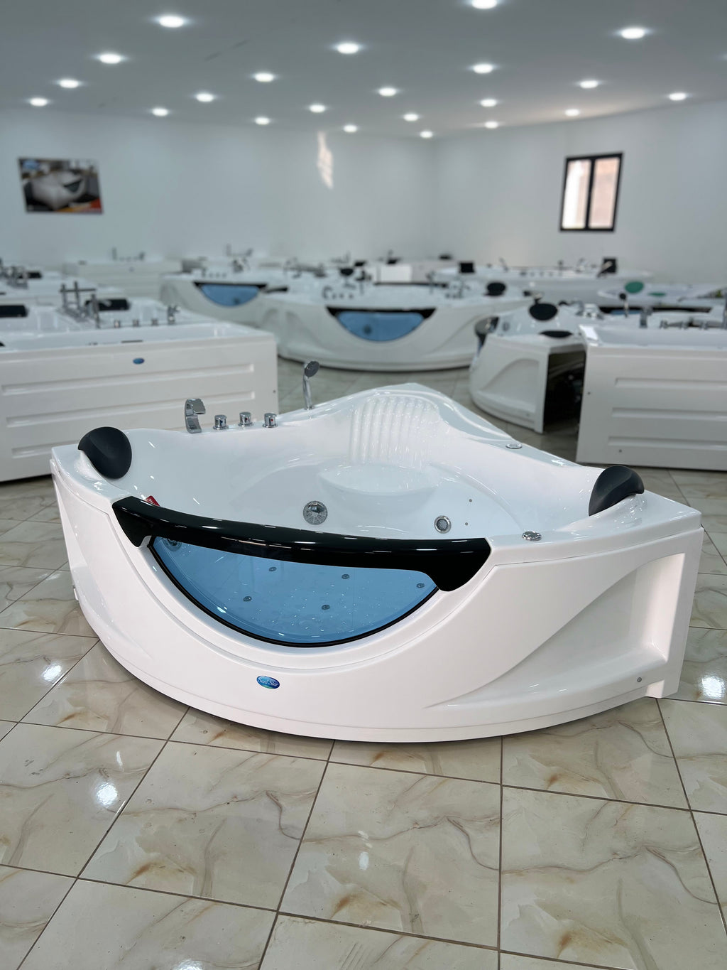 Jaccuzi 150/150/60 Avec Spot et 2 Moteur et 2 place